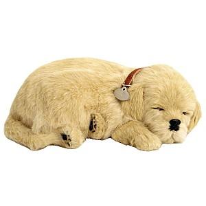 Jucarie de plus Perfect Petzzz Golden Retriever 91-02