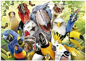 Puzzle Educa 500 Watch The Birdie