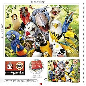 Puzzle Educa 500 Watch The Birdie