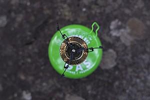 Arzator cu gaz Katadyn Optimus Crux Lite