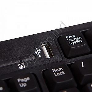 Tastatura SVEN Standard 304 USB+HUB