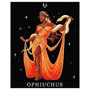 Tablou pe numere BrushMe Ophiuchus 40x50 BSB0045FC