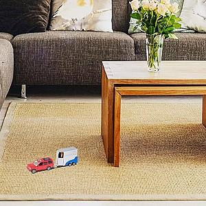 Set de jucarii HTI „Teamsterz Mașină 4×4 și remorcă pentru cai” 1373275