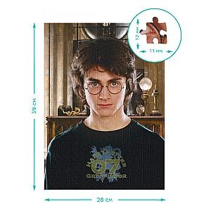 Puzzle Dodo „Portretul lui Harry”, seria Harry Potter, 450 elem. (200576)