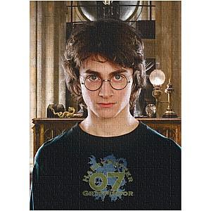 Puzzle Dodo „Portretul lui Harry”, seria Harry Potter, 450 elem. (200576)