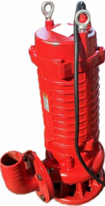 Pompă Nominal PS30-30