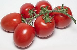 Seminte de rosii Kitano Seeds KS 3819 F1