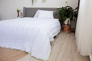 Plapuma Relaxe Home Aloe Vera 200x220cm (019811)