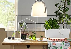  IKEA Bittergurka 32x15 Alb