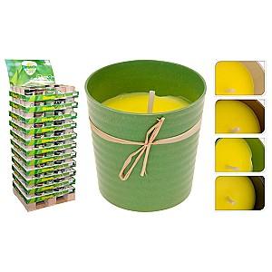 Lumanare NVT Citronella 50739