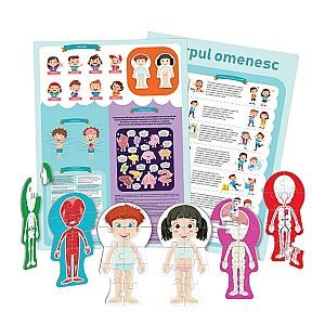 Puzzle Noriel Corpul omenesc