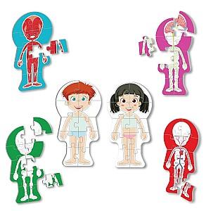 Puzzle Noriel Corpul omenesc