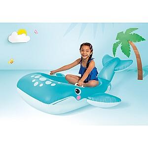 Accesoriu pentru inot Intex 57567