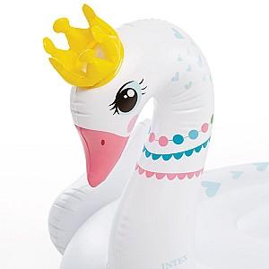 Accesoriu pentru inot Intex 57562