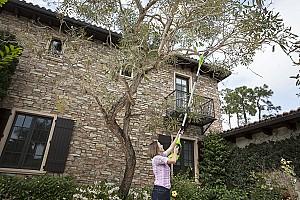 Fierastrau electric cu lant Greenworks G24PS2