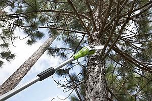 Fierastrau electric cu lant Greenworks G24PS2