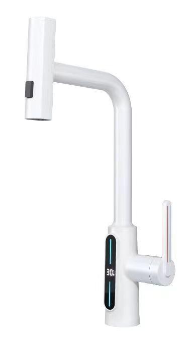 Robinet bucatarie CEO Digital Alb