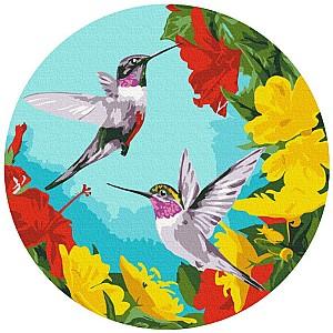 Tablou pe numere BrushMe Colibri în flori D 30 сm (fără cutie) RC0001FC