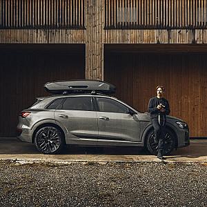 Cutie portbagaj THULE Motion 3 L titan glossy