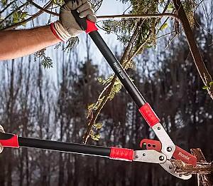 Foarfece de crengi Ronix RH-3122