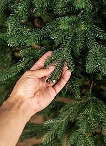 Brad artificial VLM Alpine