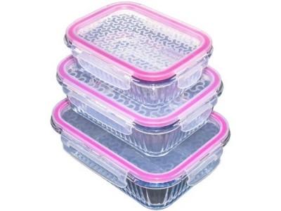 Set de recipiente alimentare BORART 3 boxe riflate cu capac