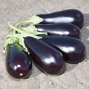 Seminte de vinete Kitano Seeds Prado F1