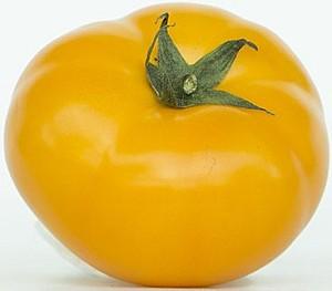 Seminte de rosii Kitano Seeds Nuxy F1