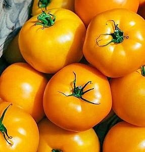 Seminte de rosii Kitano Seeds Nuxy F1