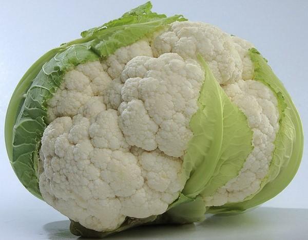 Seminte de conopida Kitano Seeds Misora F1