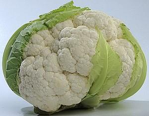 Seminte de conopida Kitano Seeds Misora F1