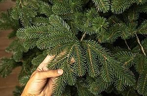 Brad artificial VLM Kovalivka