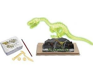 Set de cercetare pentru copii VLM scheletul de Velociraptor (36059)