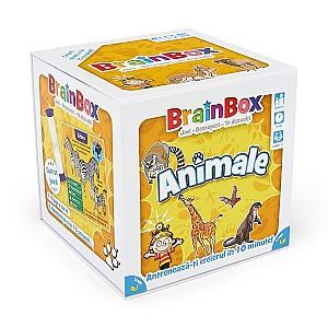 Joc de masa BrainBox Animale (G114002)