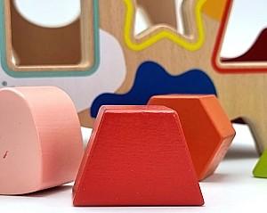 Sortator Tooky Toy TF216