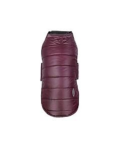  Record BOSS&LADY Red M