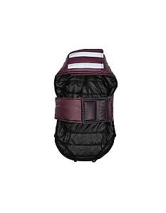  Record BOSS&LADY Red M