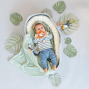 Jucarie bebelus TAF TOYS Tucan (12695)