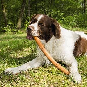 Jucarie pentru caine Beeztees SUMO FIT STICK