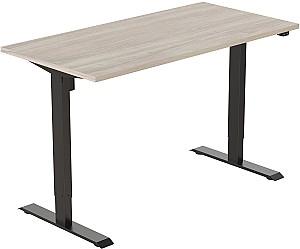 Masa de birou Flexispot ET114 Gri