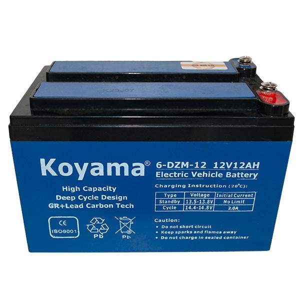 Incarcator acumulator auto Koyama 6-DZM-12 12V 12Ah