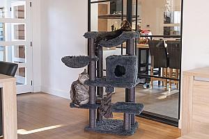 Ansamblu pentru pisici Beeztees DUCO Grey