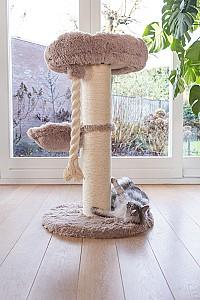 Ansamblu pentru pisici Beeztees RAMIRO Taupe