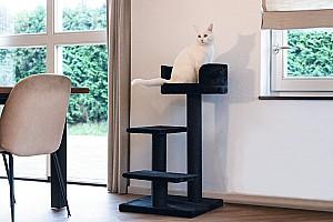 Ansamblu pentru pisici Beeztees SERPA FIGO Black