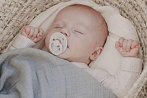 Pled BIBS Swaddle Sage