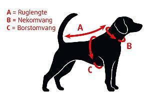  Beeztees CARO YELLOW 52