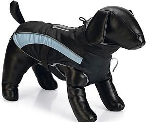  Beeztees SABY Black/Blue L