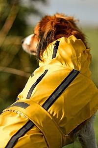  Flamingo RAINCOAT CIRO Yellow 50cm