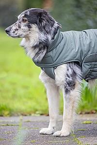  Beeztees ZHANTI Green 48