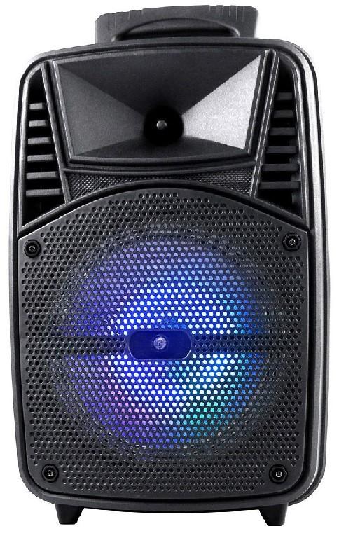Boxe Omega OG84B Karaoke 20W+3W Tweeter